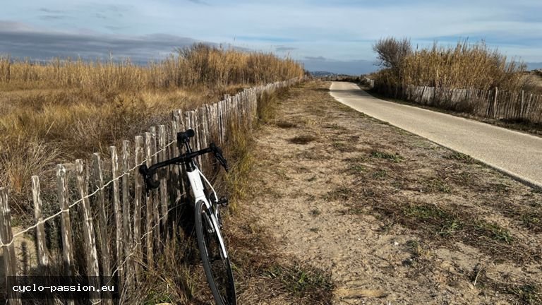 Sortie vélo le midi